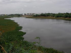 Gurram Cheruvu