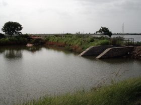 Limdi Lake