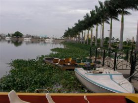 Saroornagar